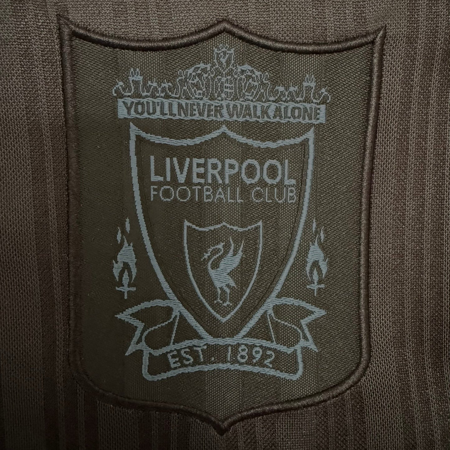 Liverpool 95/96 Vers. Retro | Edicion Especial | Manga Larga